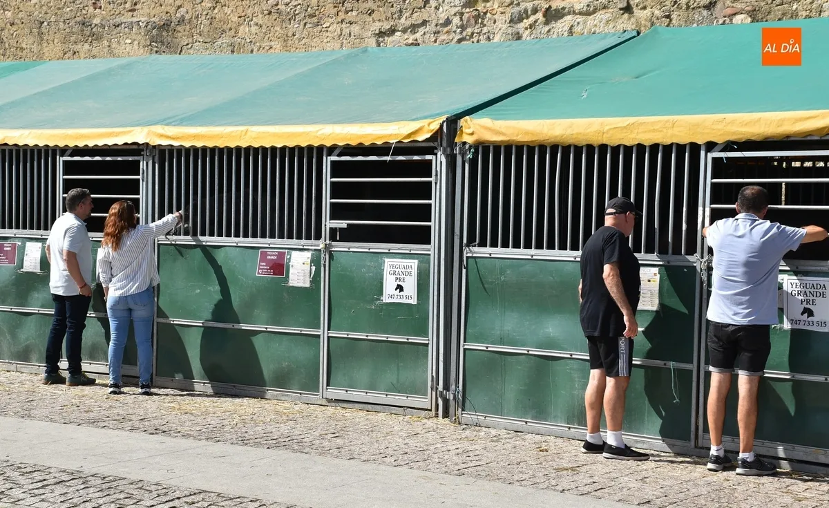 Foto 3 - La Feria del Caballo brinda un mercadillo sabatino &lsquo;alternativo&rsquo;