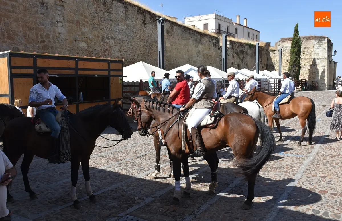 Foto 2 - Los caballistas vuelven a vadear el &Aacute;gueda tres a&ntilde;os despu&eacute;s en la calurosa ma&ntilde;ana sabatina de Feria
