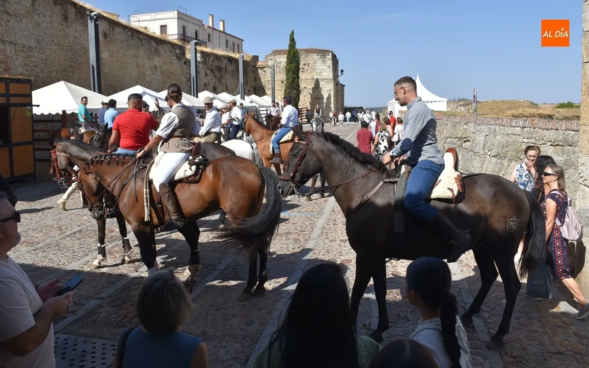 Foto 3 - Los caballistas vuelven a vadear el &Aacute;gueda tres a&ntilde;os despu&eacute;s en la calurosa ma&ntilde;ana sabatina de Feria