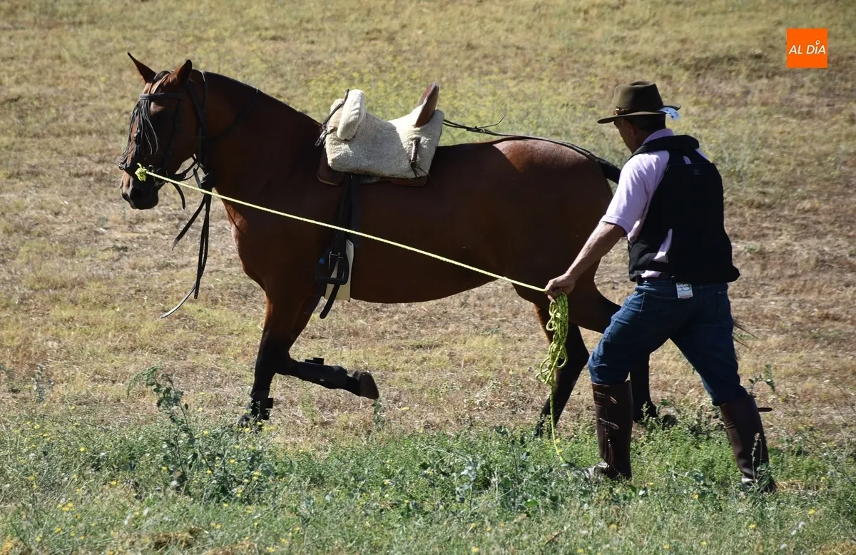 Foto 4 - Los caballistas vuelven a vadear el &Aacute;gueda tres a&ntilde;os despu&eacute;s en la calurosa ma&ntilde;ana sabatina de Feria