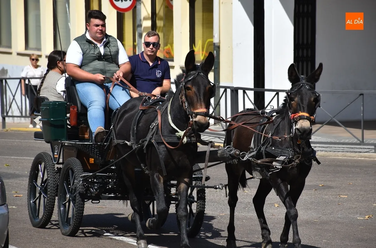 Foto 5 - Los caballistas vuelven a vadear el &Aacute;gueda tres a&ntilde;os despu&eacute;s en la calurosa ma&ntilde;ana sabatina de Feria
