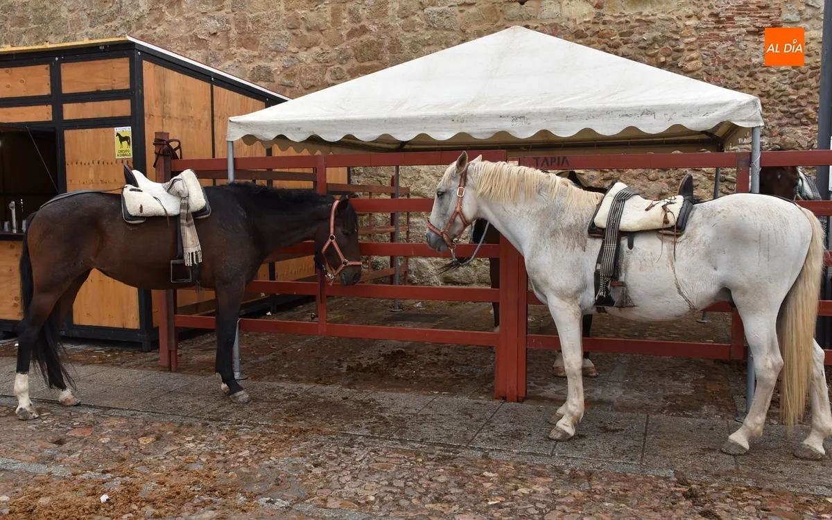 Foto 2 - Los caballistas se asientan en la pista de arena de la Plaza en otra tarde con visita de la lluvia
