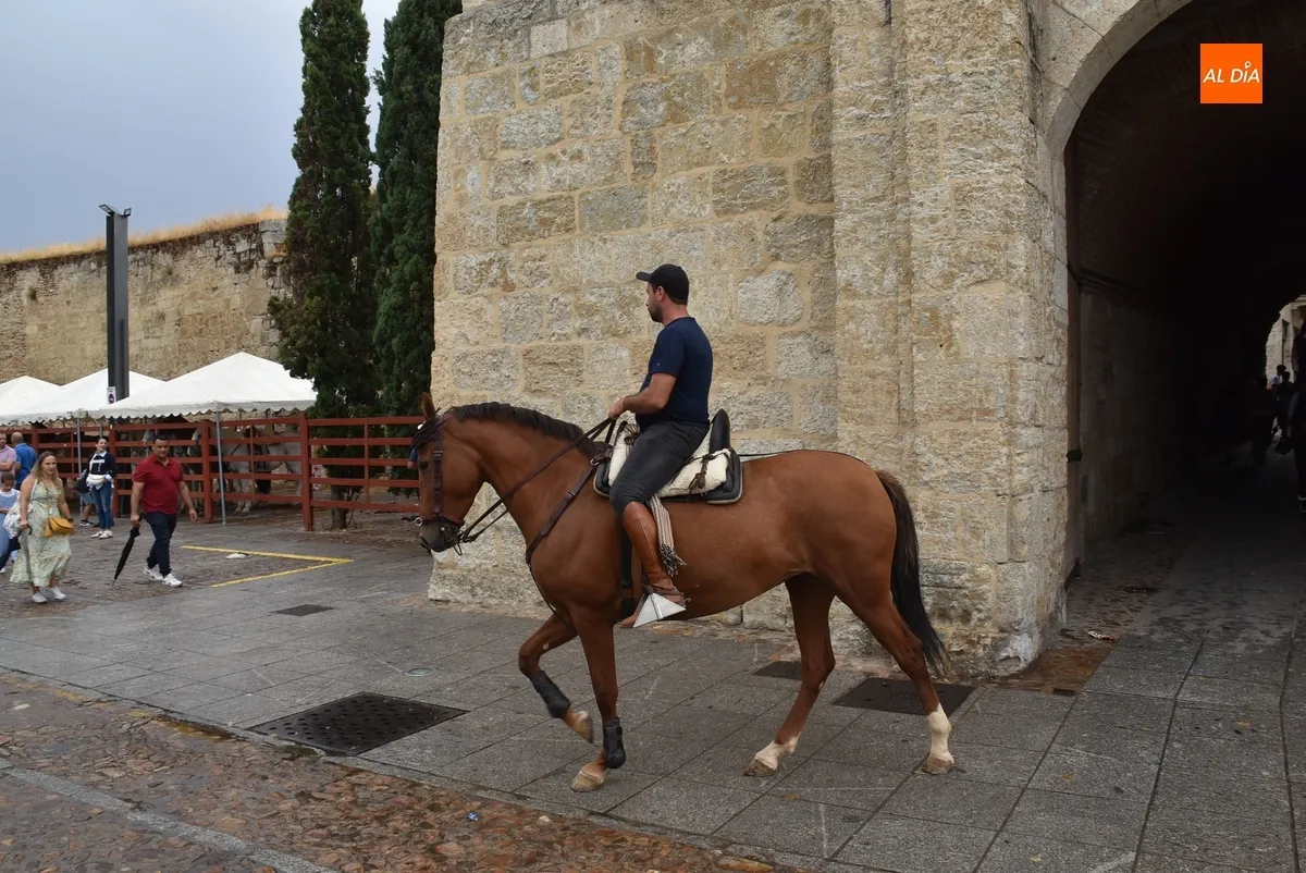 Foto 4 - Los caballistas se asientan en la pista de arena de la Plaza en otra tarde con visita de la lluvia