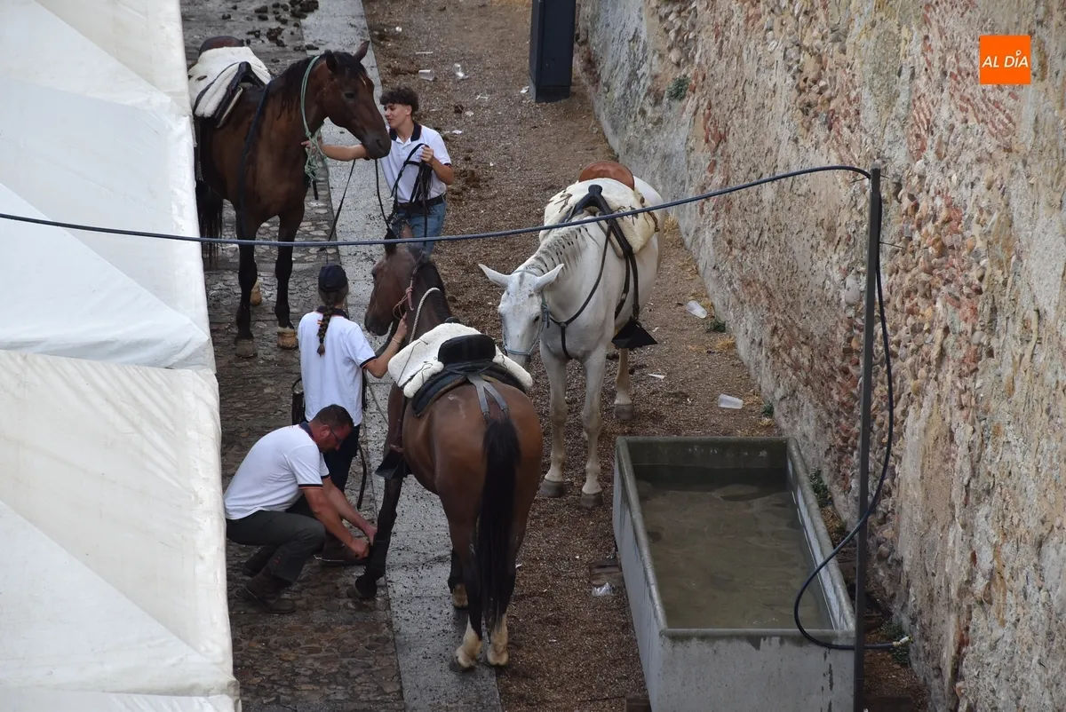 Foto 11 - Los caballistas se asientan en la pista de arena de la Plaza en otra tarde con visita de la lluvia