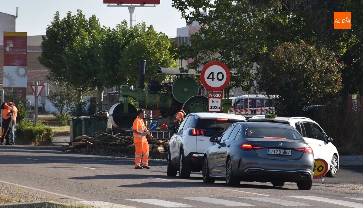 Foto 2 - Puestas a punto con singulares desv&iacute;os las zonas verdes del Parque de Obras P&uacute;blicas