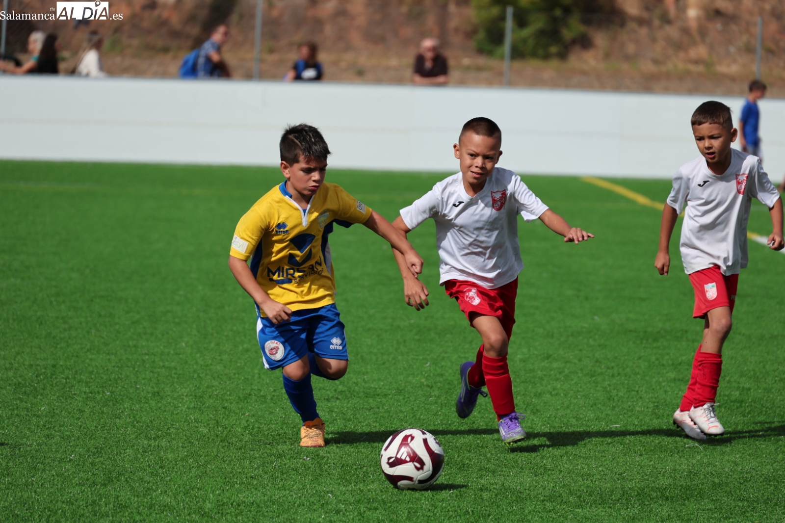El Anexo del Reina Sofía recuerda a Tabu en su III Memorial, ya convertido en tradición en las Ferias y Fiestas de Salamanca