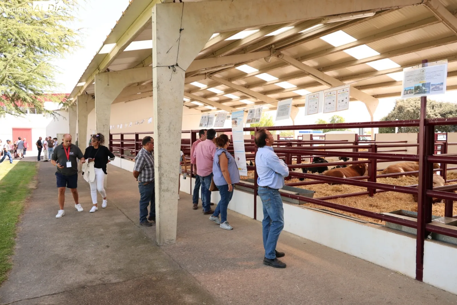 El mejor ambiente este viernes en la segunda jornada de Salamaq. Fotos de David Sañudo
