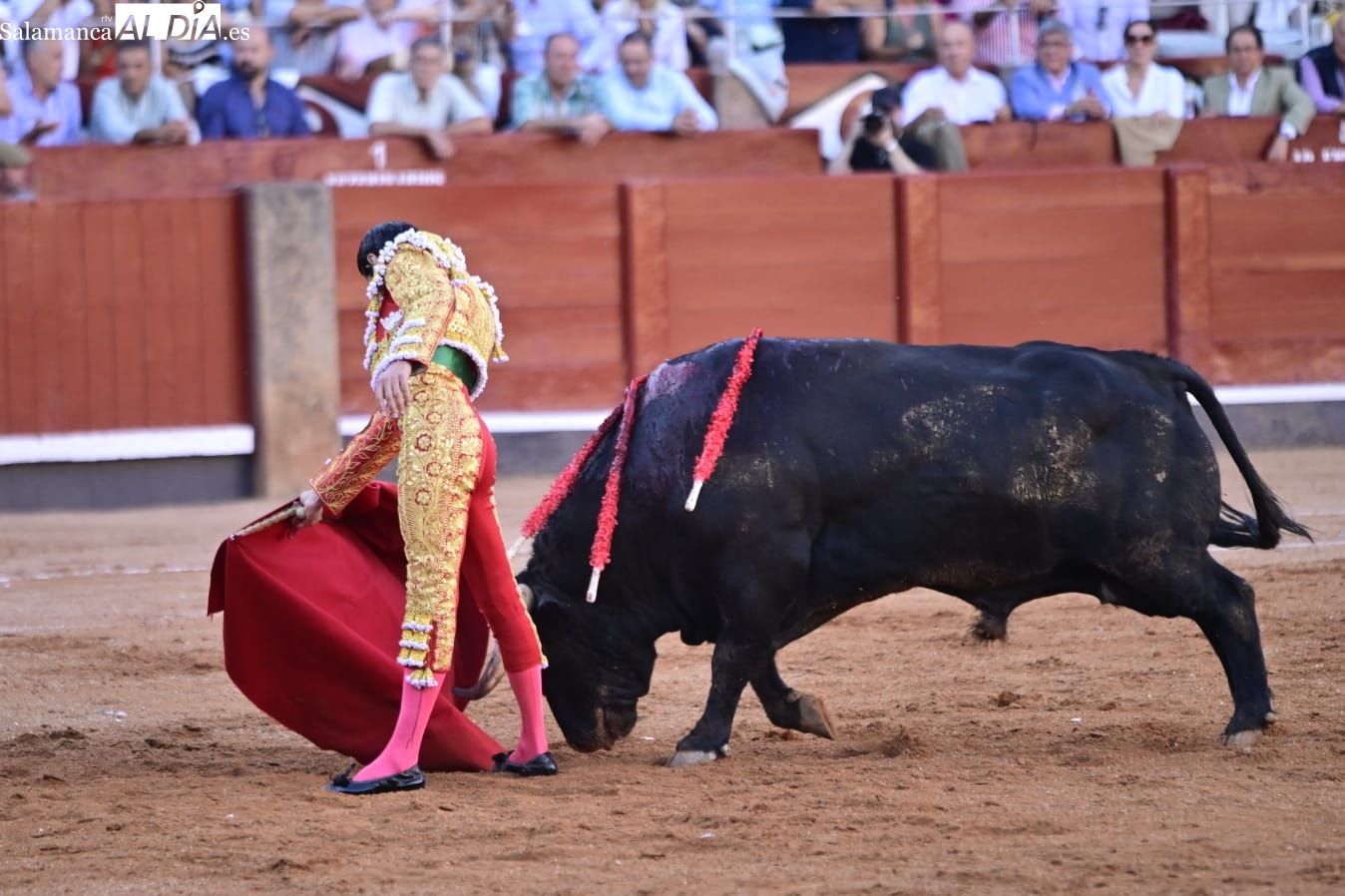 Toro de Oro Salamanca 2025: Buenasuerte de Garcigrande
