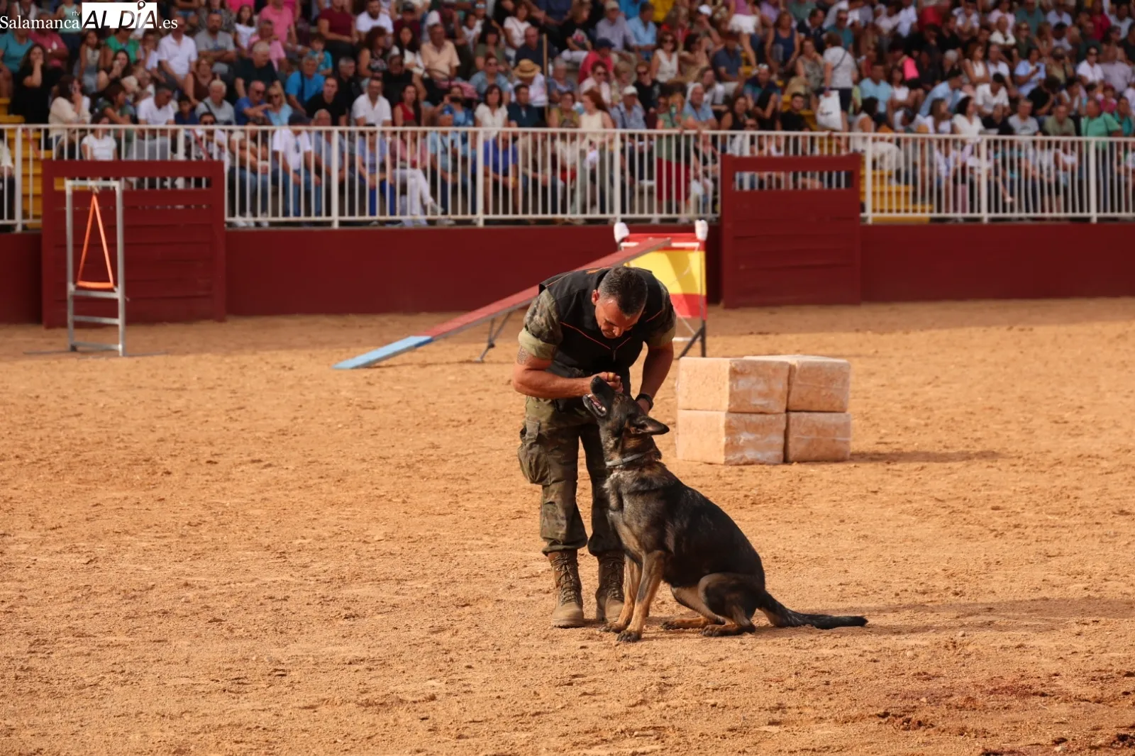 Exhibición unidad canina del CMCC de Ávila | Fotos: David Sañudo