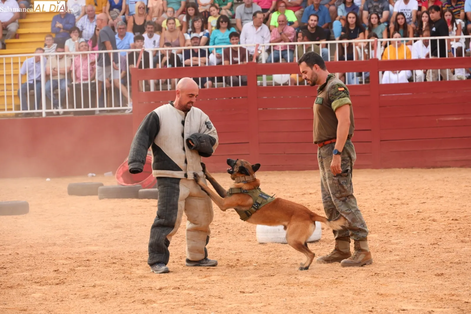 Exhibición unidad canina del CMCC de Ávila | Fotos: David Sañudo