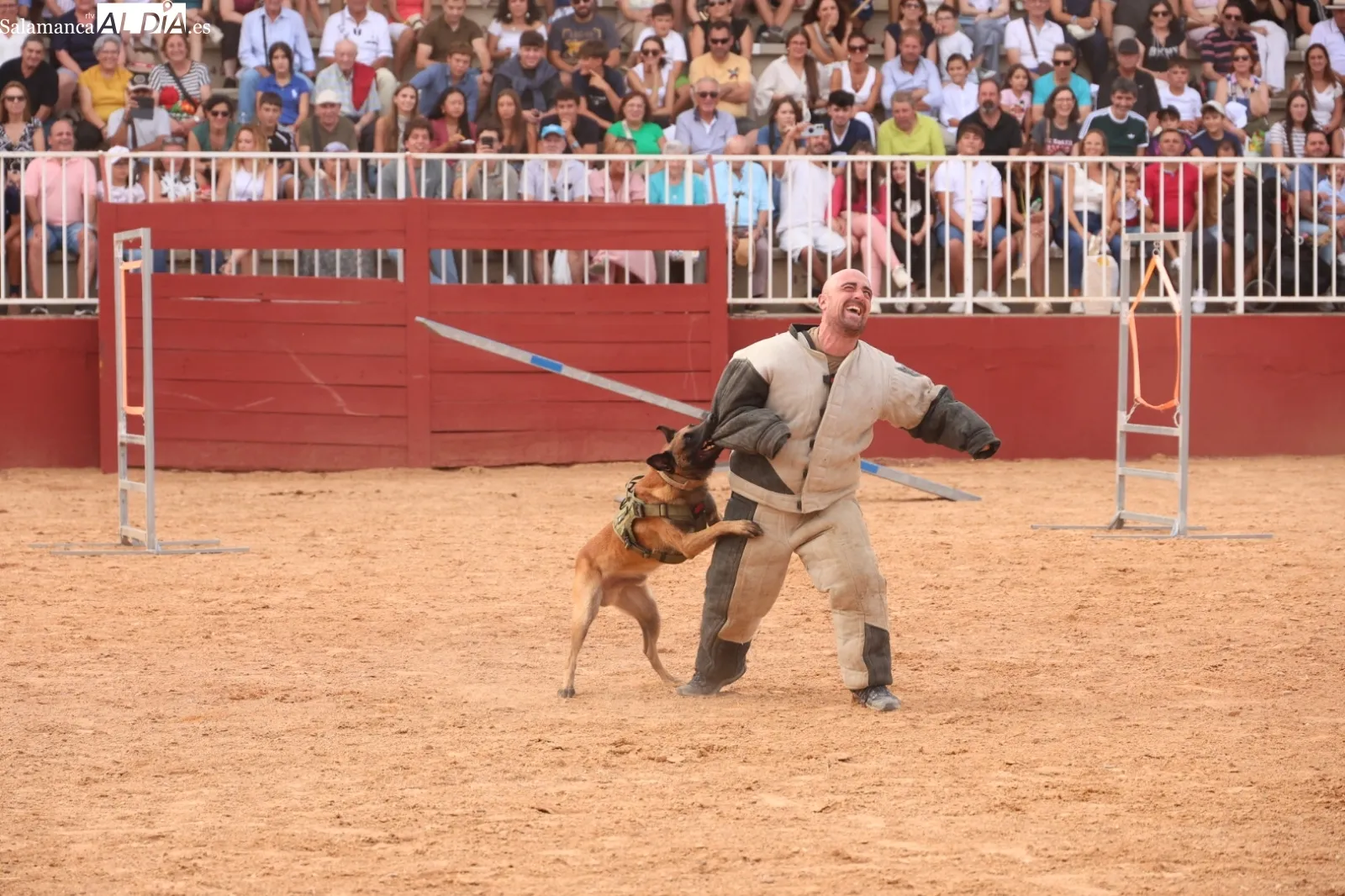 Exhibición unidad canina del CMCC de Ávila | Fotos: David Sañudo