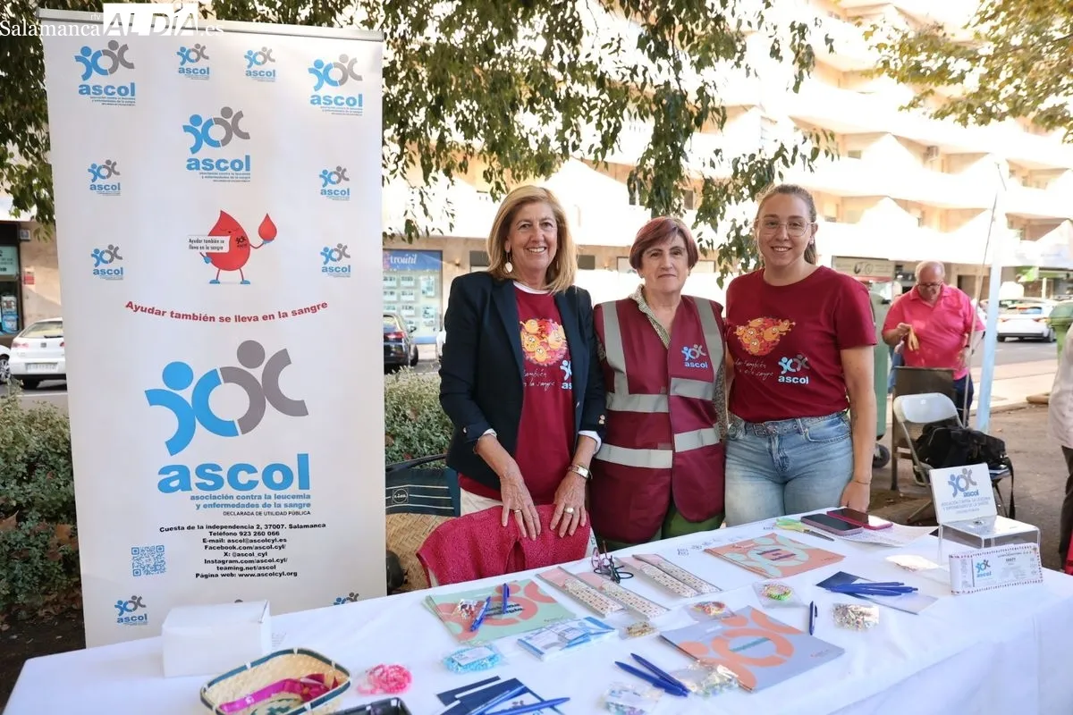 Feria de Asociaciones de Ayuda Mutua y Salud, este viernes en La Alamedilla. Foto: David Sañudo