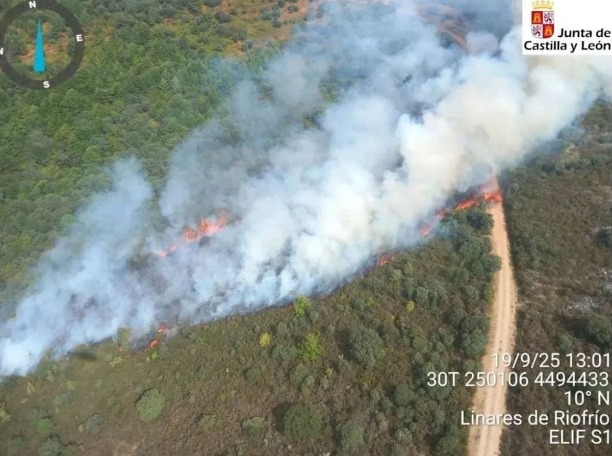 Incendios en Salamanca: activos dos fuegos en la Sierra de Francia