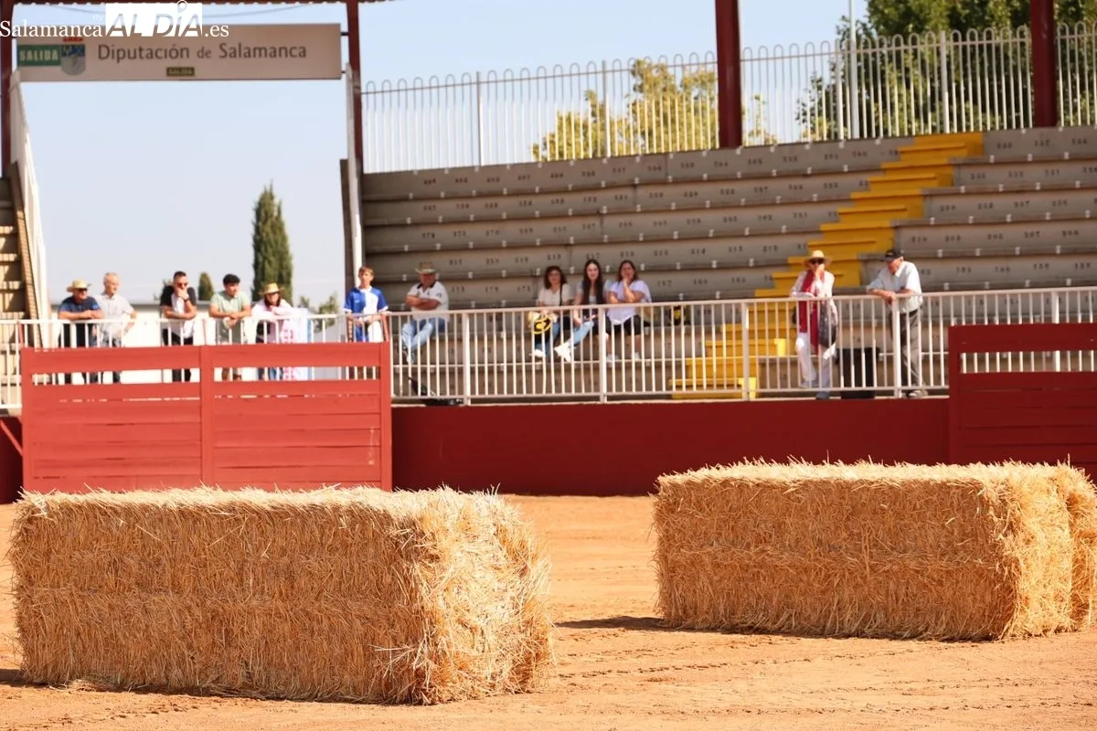 Gymkana de 'influencers' del campo en el Anillo de Exhibiciones del Recinto Ferial de Salamanca. Foto: David Sañudo