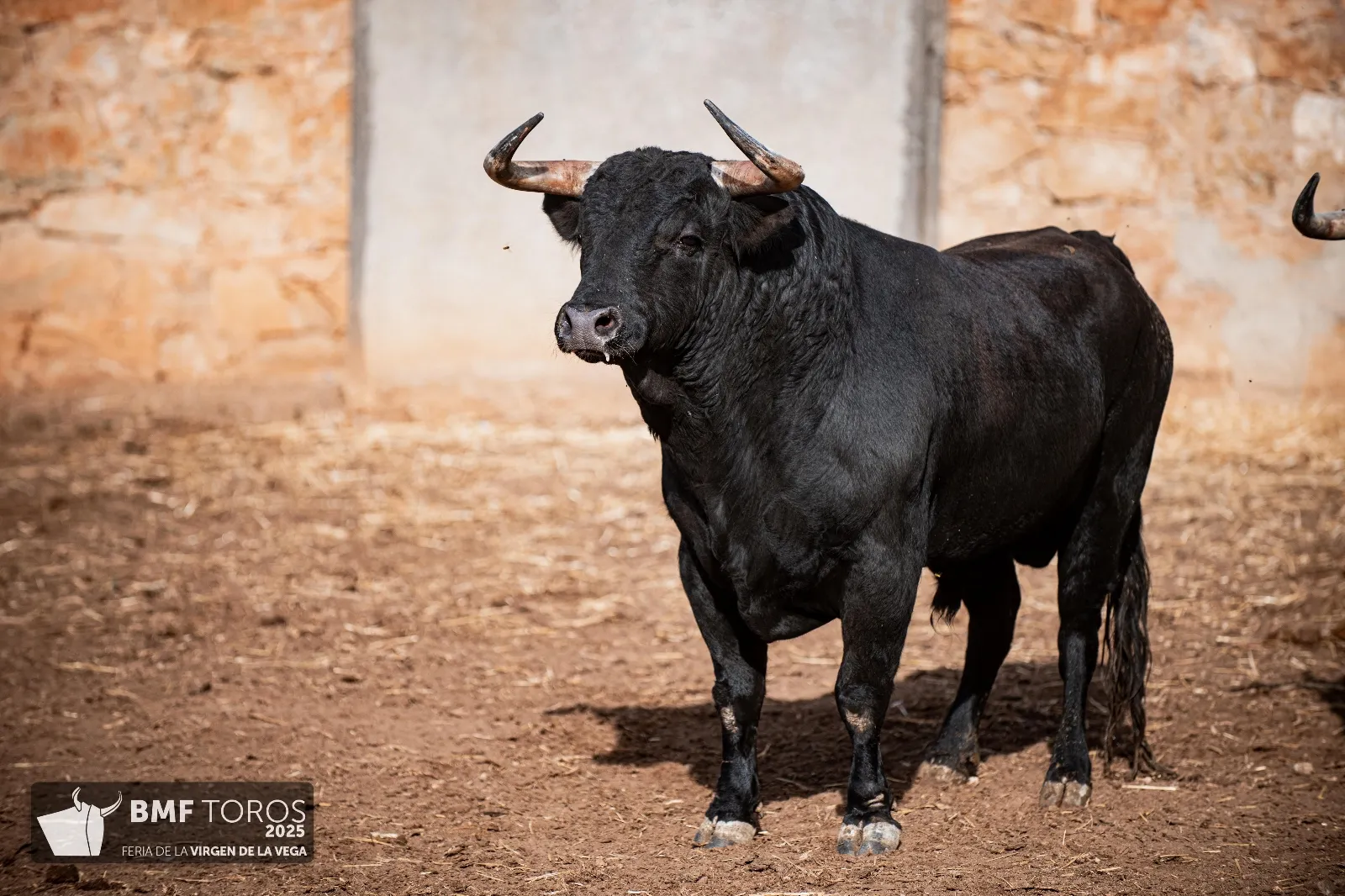 Foto 4 - Un 'Fil&oacute;sofo' para la reaparici&oacute;n de Morante