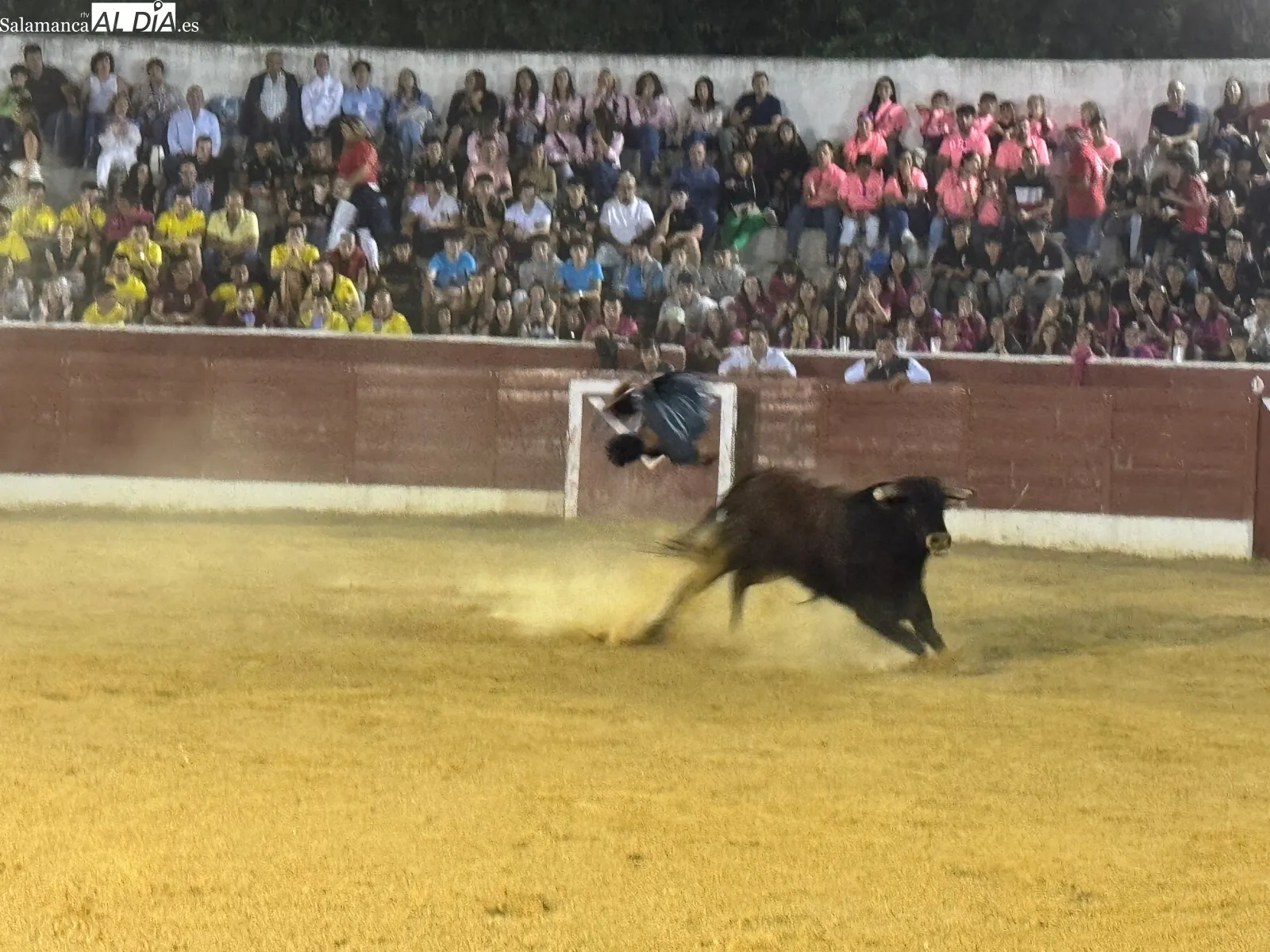 Exhibición de cortes, quiebros y saltos en Villoria