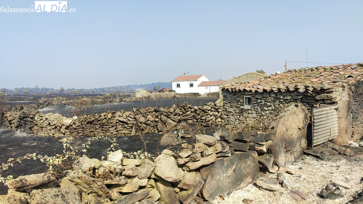 UPA denuncia que la Junta impide ayudas por los incendios