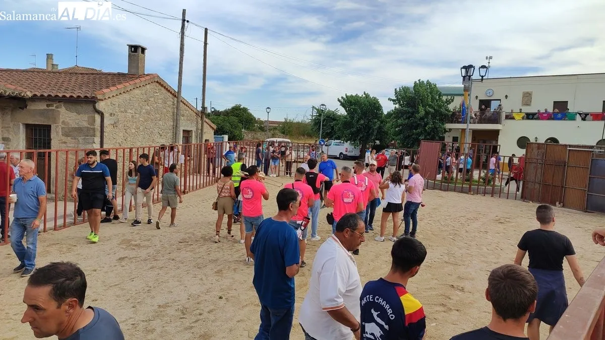 I Toro de Cajón en Villaseco de los Reyes / MARIBEL SÁNCHEZ 