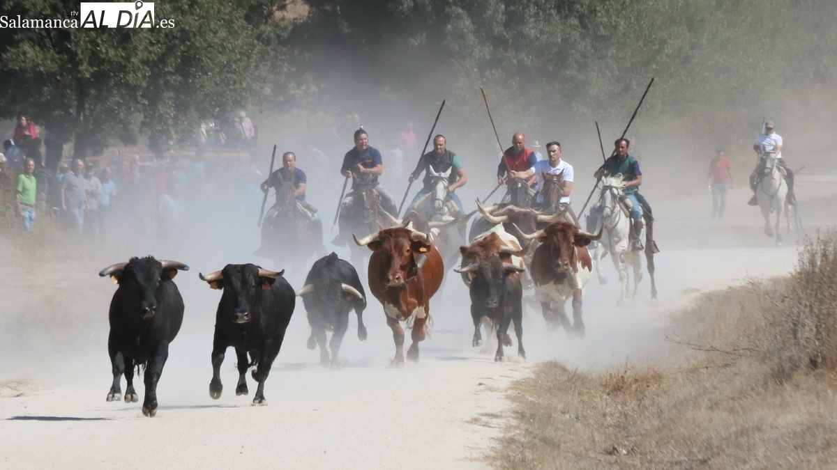 Fiestas de Bañobárez 2025: programa taurino y musical