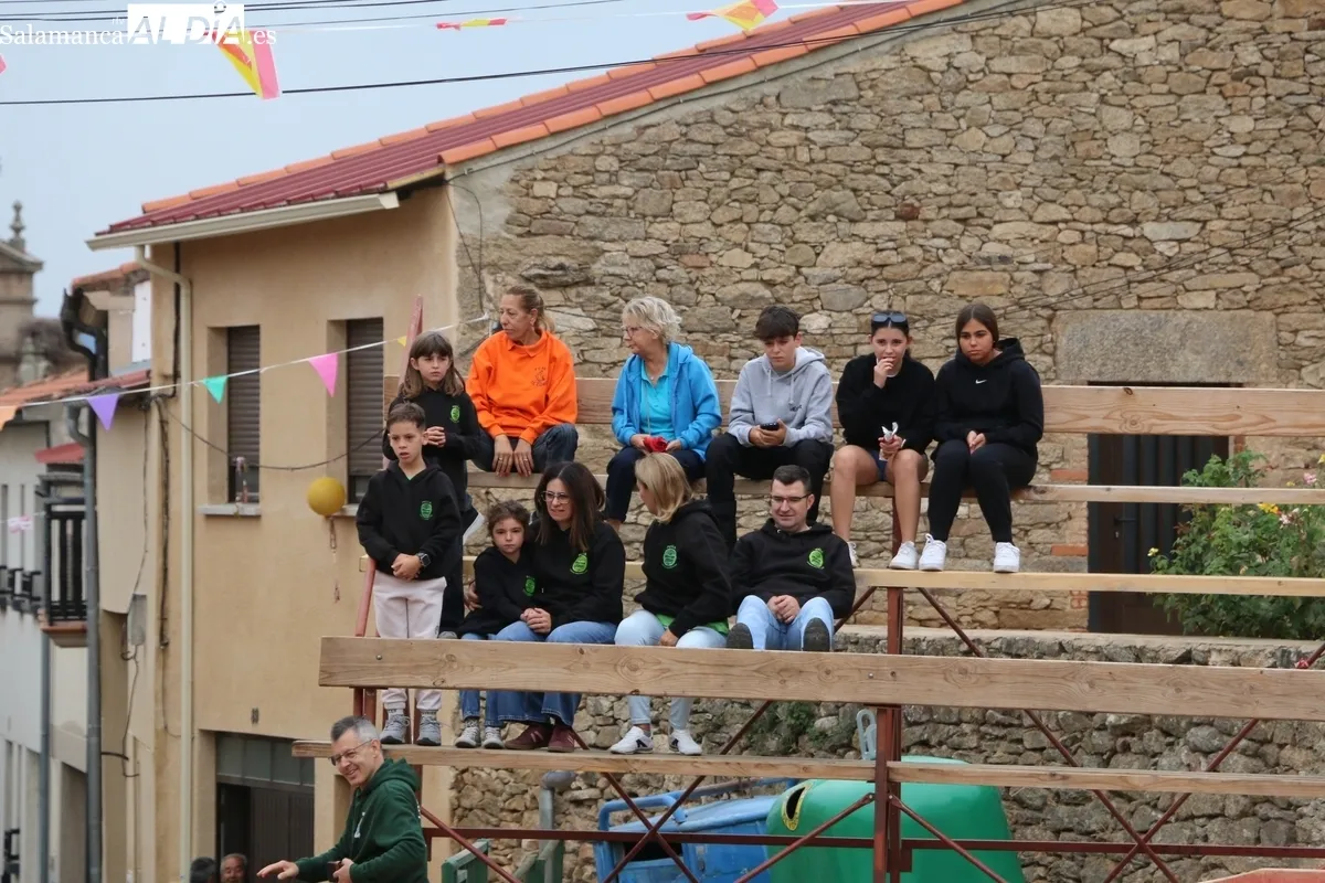 Entretenido encierro-capea en el que se dio suelta a tres vacas y un novillo de la ganadería de Ignacio López Chaves, aunque con distintos hierros / CORRAL  