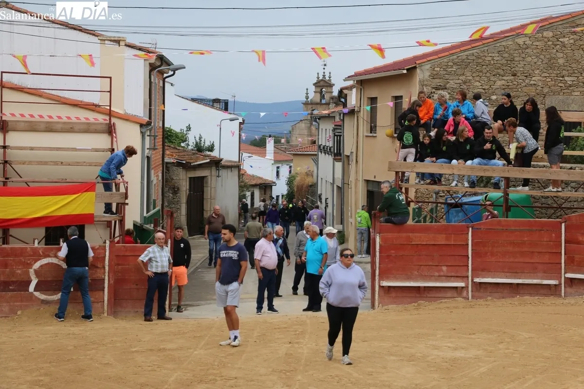 Entretenido encierro-capea en el que se dio suelta a tres vacas y un novillo de la ganadería de Ignacio López Chaves, aunque con distintos hierros / CORRAL  