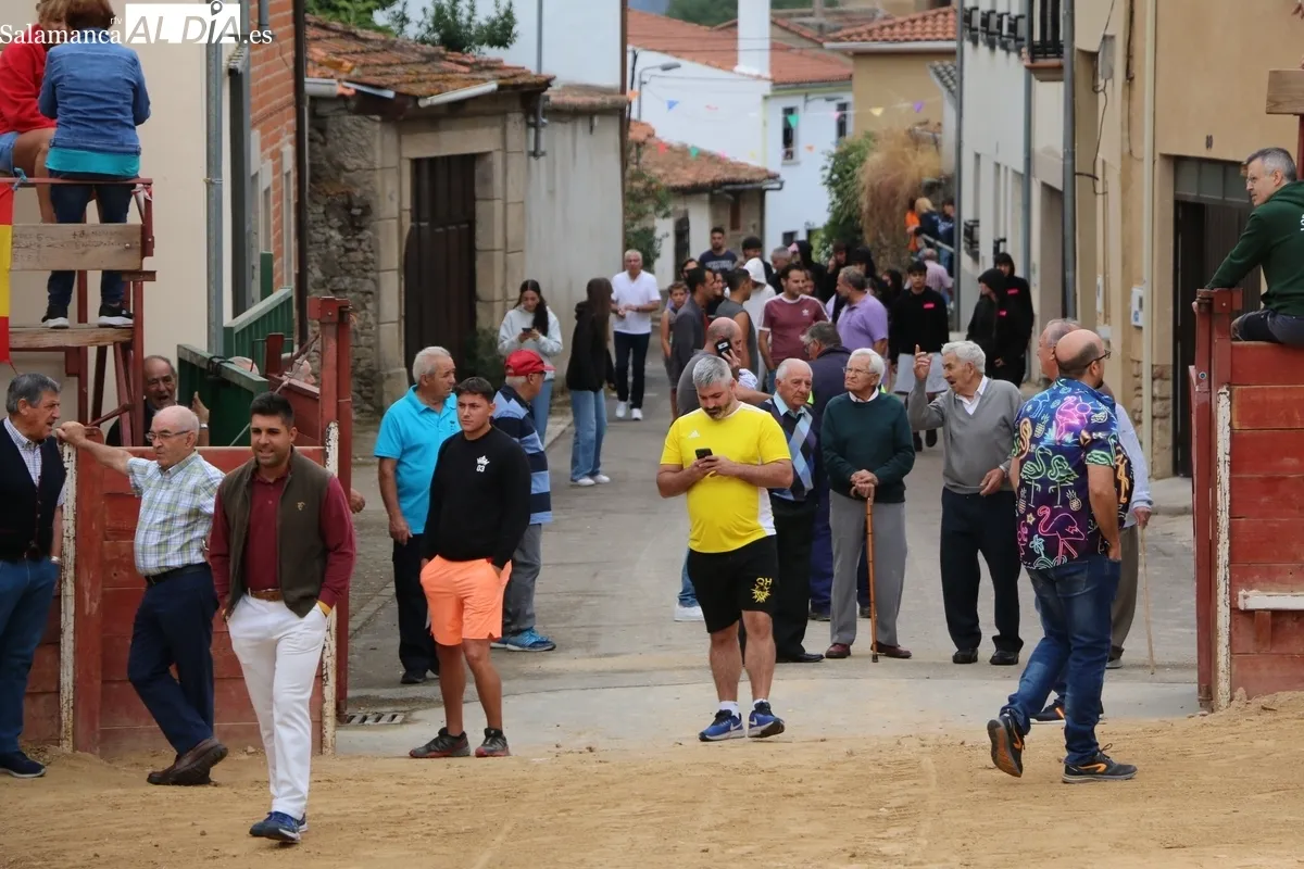 Entretenido encierro-capea en el que se dio suelta a tres vacas y un novillo de la ganadería de Ignacio López Chaves, aunque con distintos hierros / CORRAL  