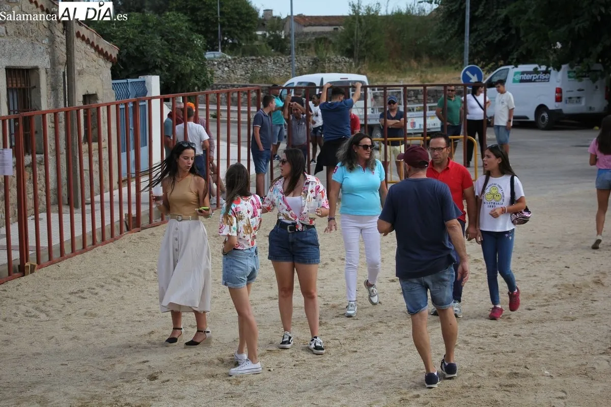 I Toro de Cajón en Villaseco de los Reyes / MARIBEL SÁNCHEZ 