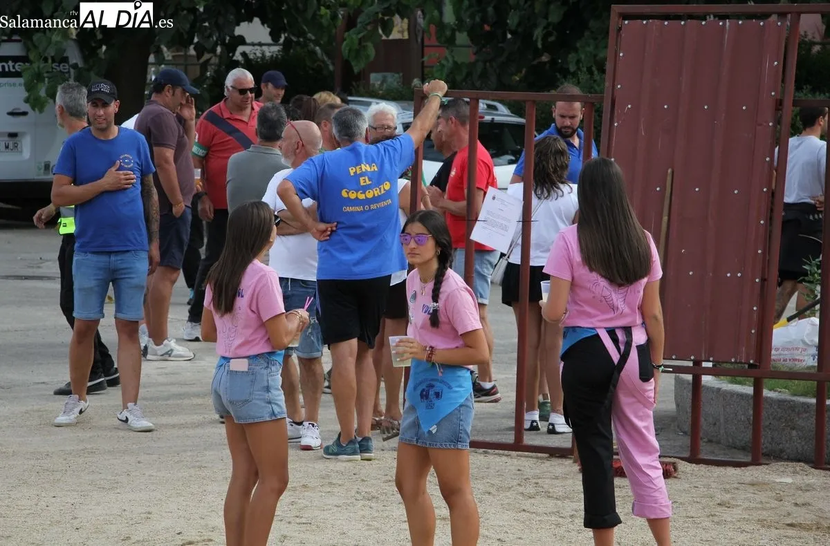 I Toro de Cajón en Villaseco de los Reyes / MARIBEL SÁNCHEZ 