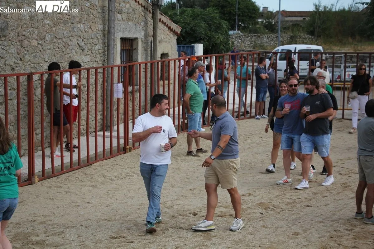 I Toro de Cajón en Villaseco de los Reyes / MARIBEL SÁNCHEZ 