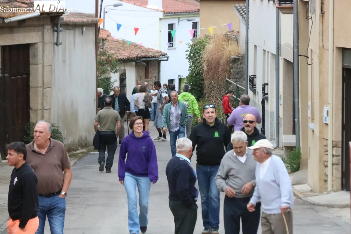 Entretenido encierro-capea en el que se dio suelta a tres vacas y un novillo de la ganadería de Ignacio López Chaves, aunque con distintos hierros / CORRAL  