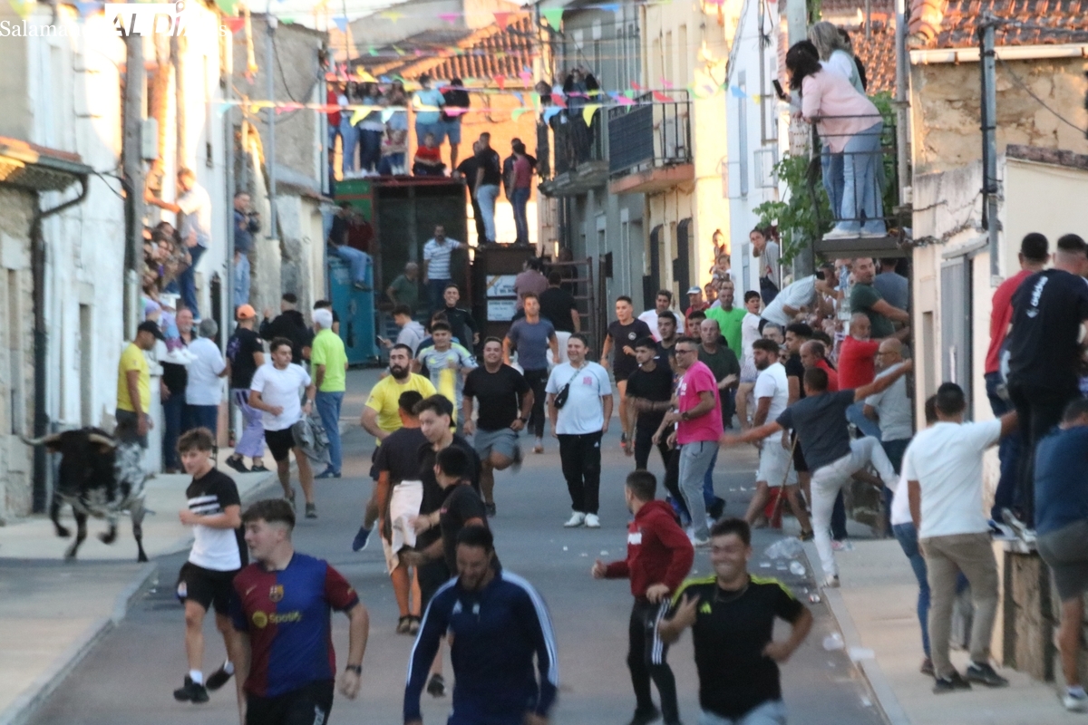 Fiestas de Bañobárez 2025: Arrancan con un toro de cajón