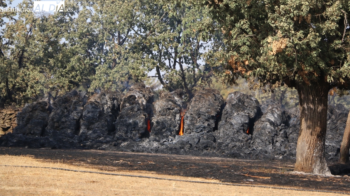Zona catastrófica Cipérez: la Junta desmiente al PSOE