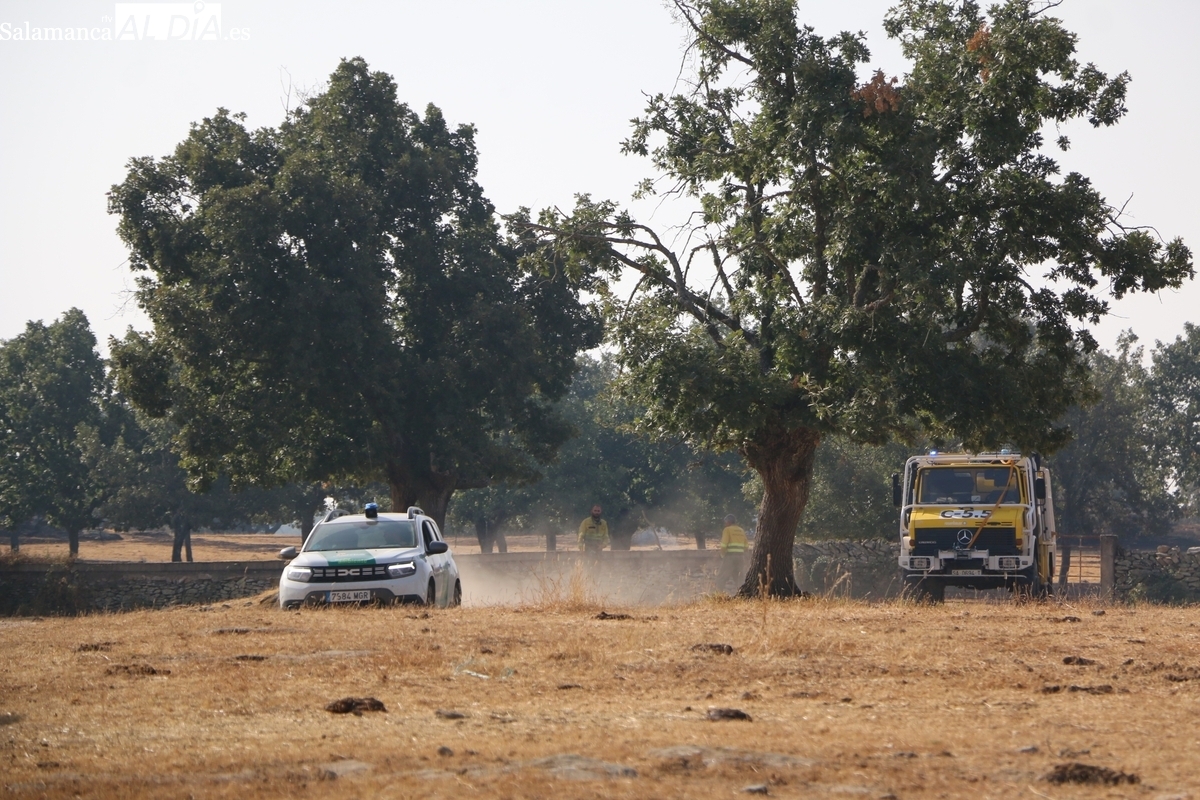 Ayudas por incendios en Salamanca: el Gobierno las pagará