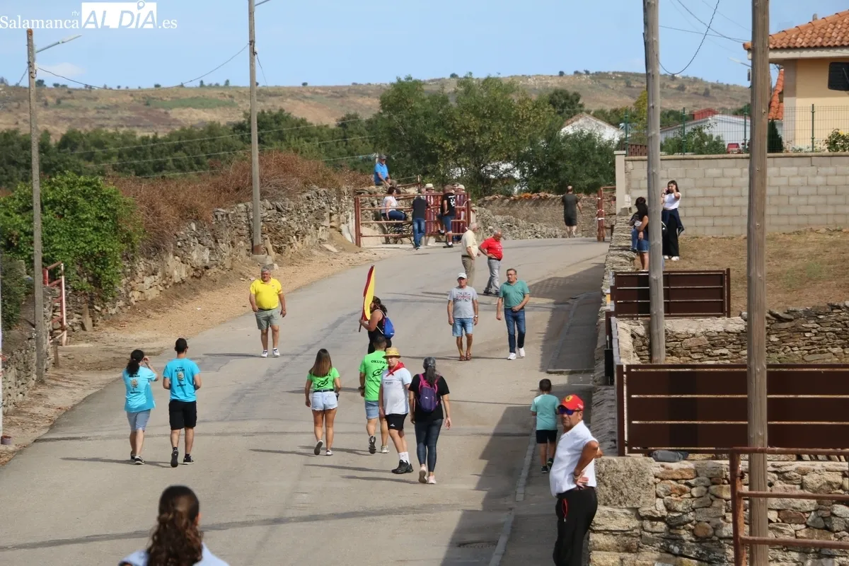 Bonito y peligroso en cierro de Hnos. Sánchez Gil este viernes en Barruecopardo / CORRAL