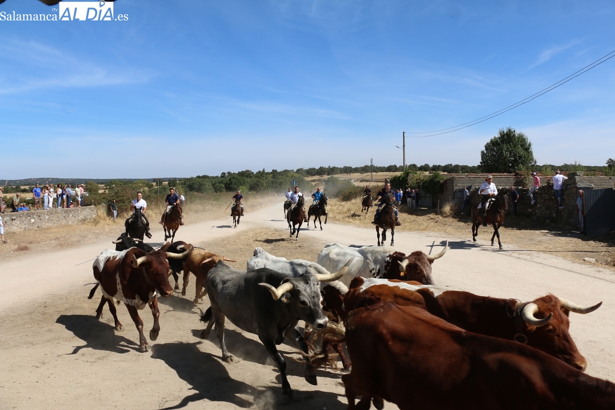 Encierro a caballo en Bañobárez