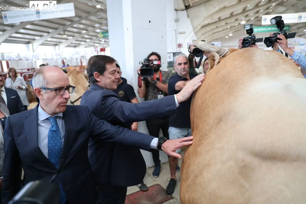 Inauguración de Salama 2025. Fotos: David Sañudo