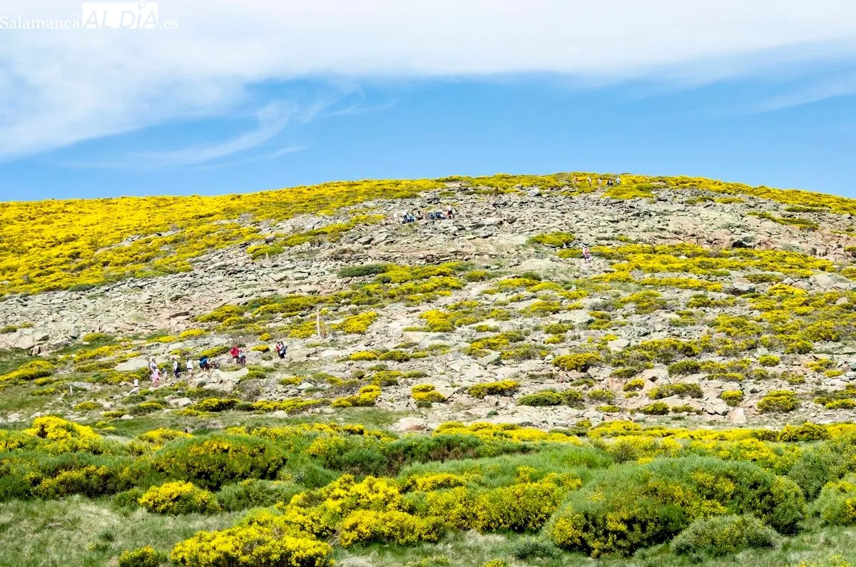 Fotografía de Manuel Lamas para ilustrar su poema Las piedras del camino
