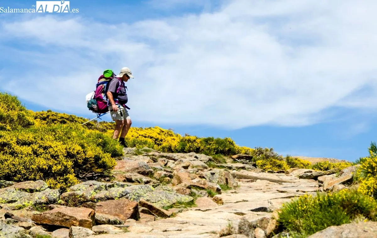 Fotografía de Manuel Lamas para ilustrar su poema Las piedras del camino