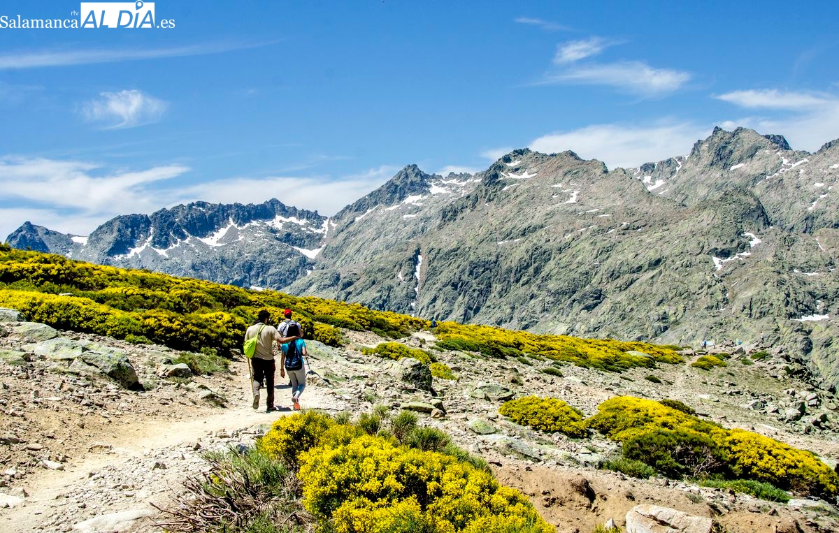 Vídeo poesía de Manuel Lamas titulada Las piedras del camino