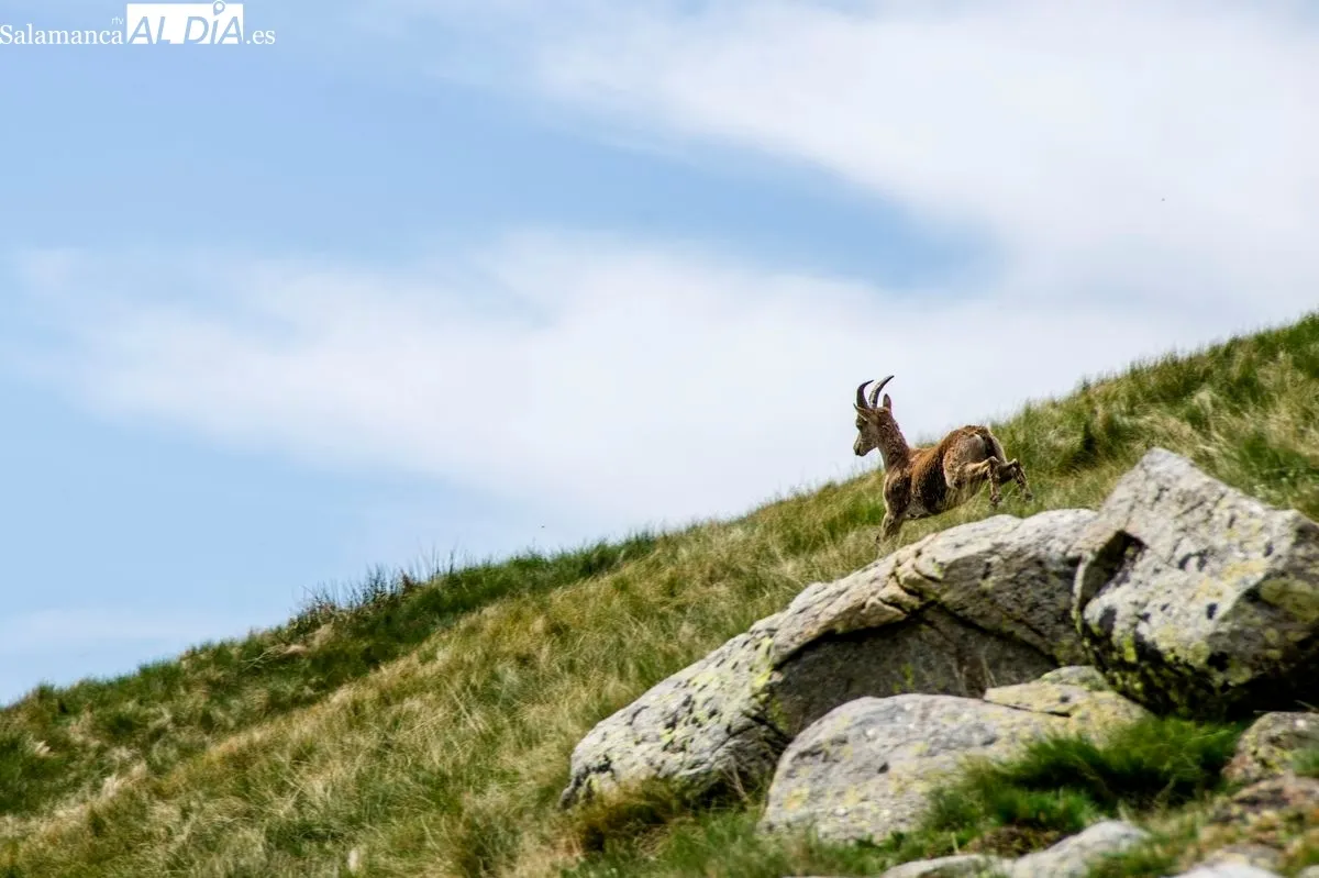 Fotografía de Manuel Lamas para ilustrar su poema Las piedras del camino