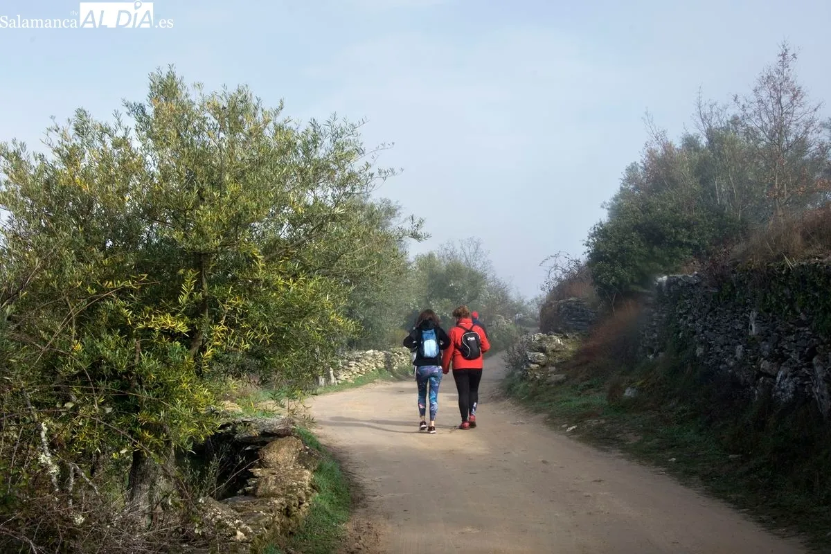 Fotografía de Manuel Lamas para ilustrar su poema Las piedras del camino
