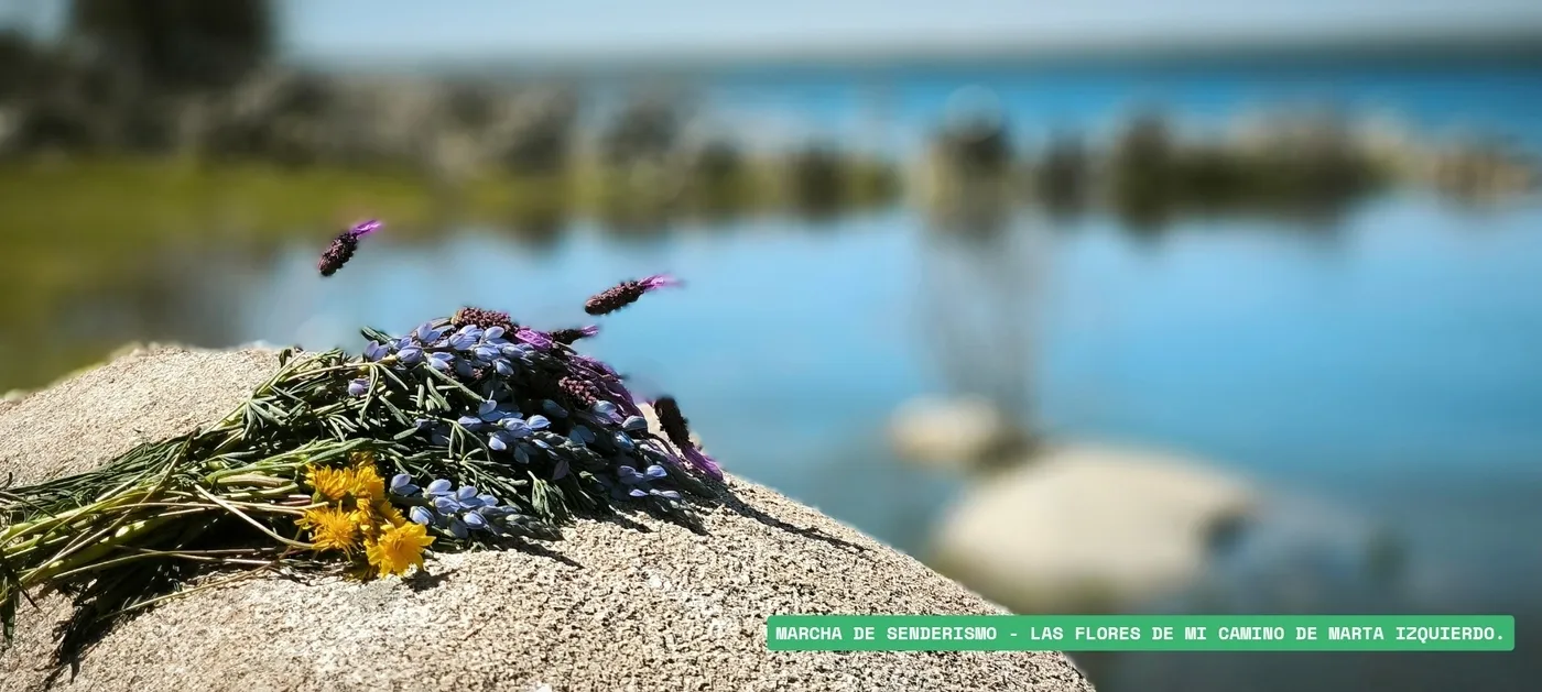 Foto 2 - El certamen fotogr&aacute;fico &lsquo;El pantano y su entorno&rsquo; de Sard&oacute;n de los Frailes ya tiene ganadores