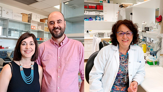 Cáncer de hígado: un estudio de Salamanca frena el tumor