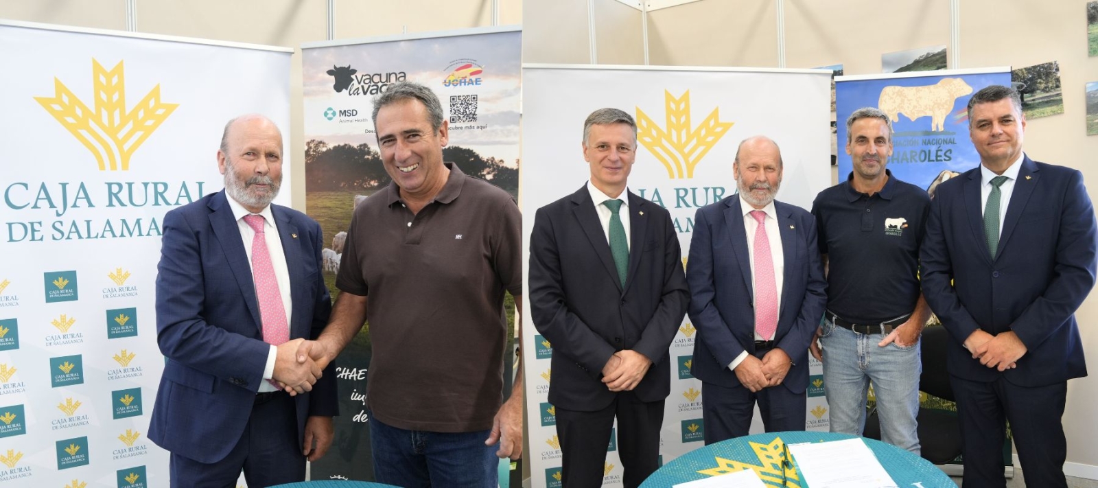 Caja Rural renueva su apoyo al ganado charolés en Salamaq 2025