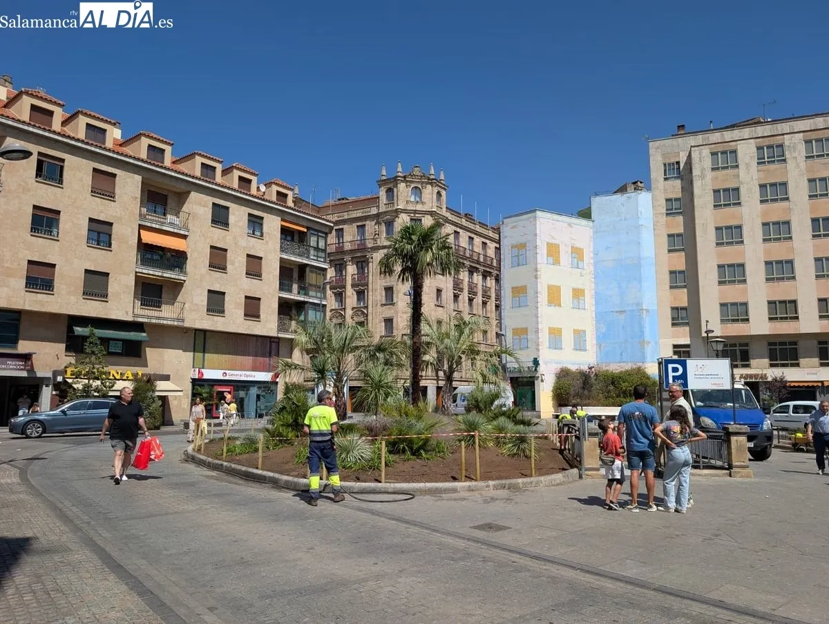 Nueva imagen de la plaza de Santa Eulalia con 1.105 plantas arbustivas y 16 palmeras. Fotos: David Sañudo