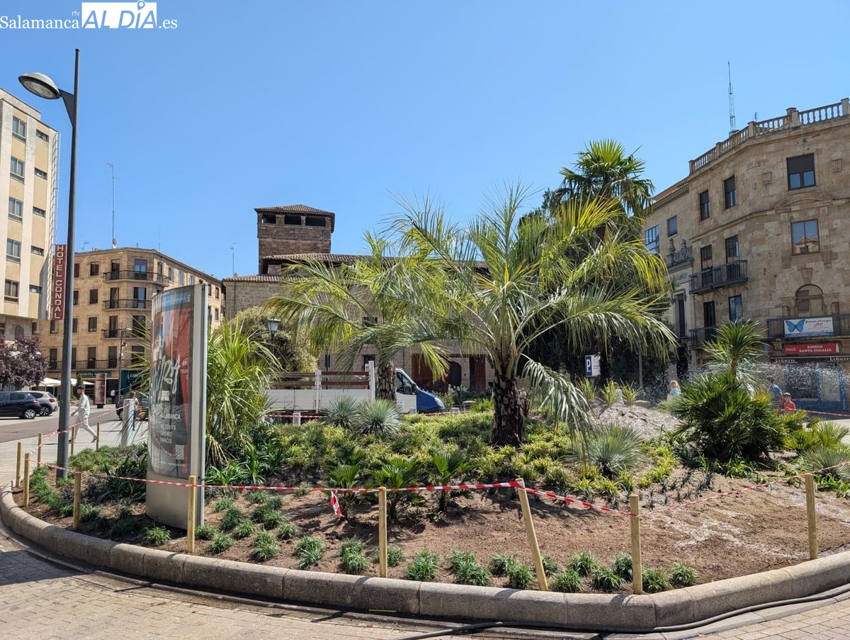 La plaza de Santa Eulalia de Salamanca estrena nueva imagen con más de 1.100 plantas y 16 palmeras