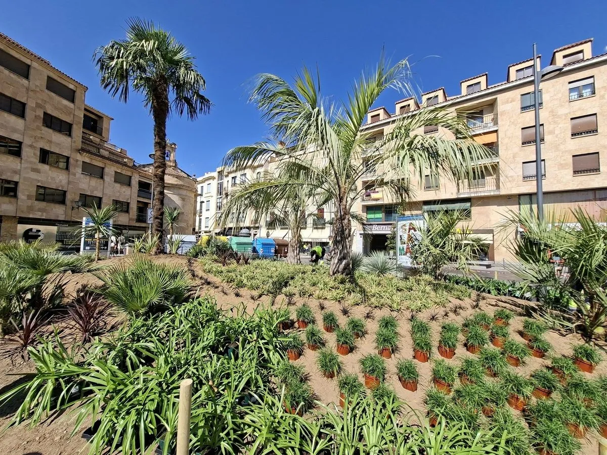 Foto 4 - La plaza de Santa Eulalia de Salamanca estrena nueva imagen con m&aacute;s de 1.100 plantas y 16 palmeras
