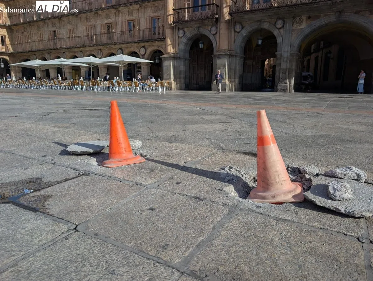 Instalación de los bancos, esta mañana, en la Plaza Mayor de Salamanca. Foto de David Sañudo