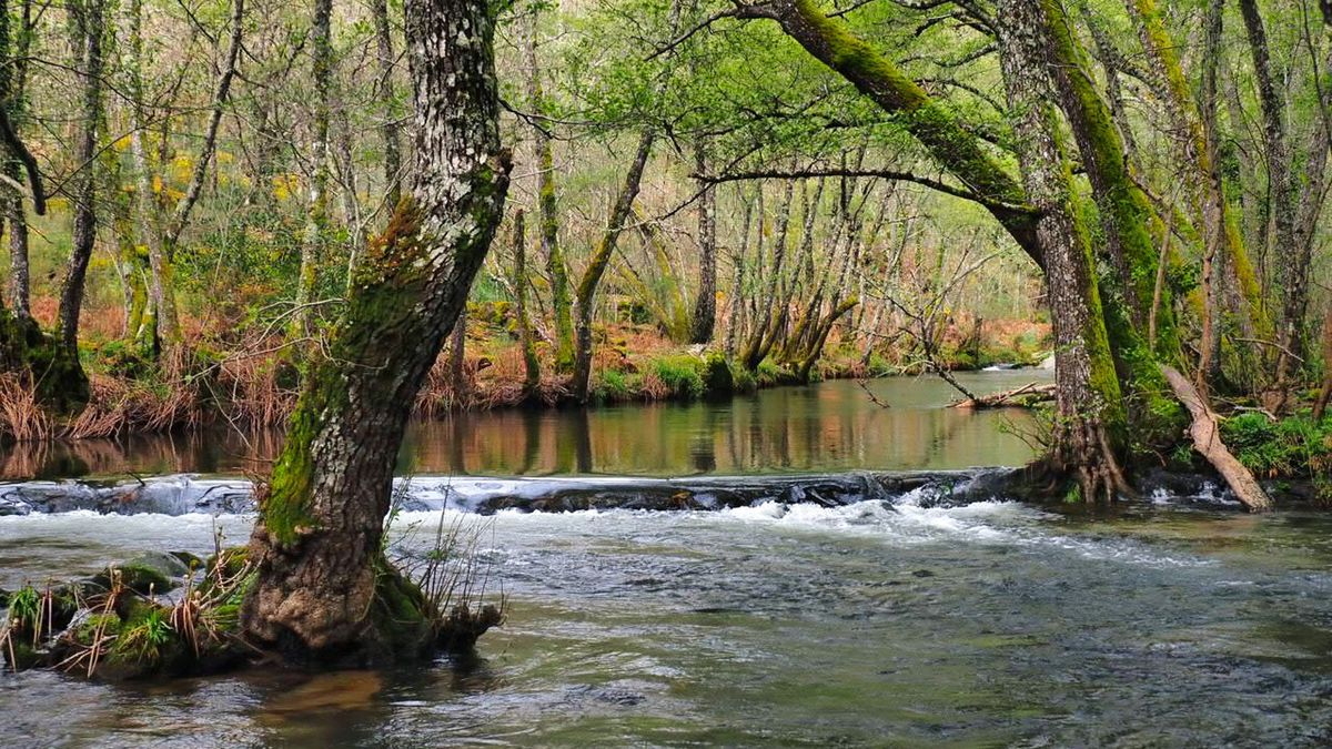 Río Francia, en Las Casas del Conde