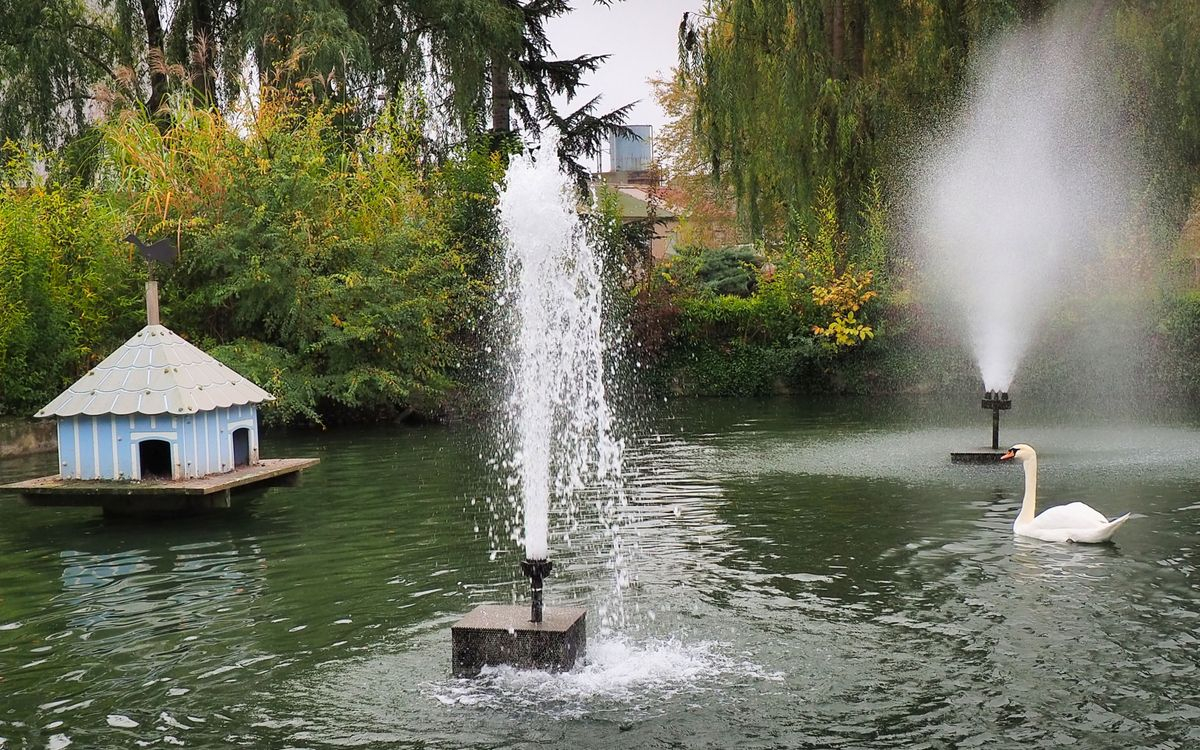 SALAMANCA. Parque de los Jesuitas. Estanque